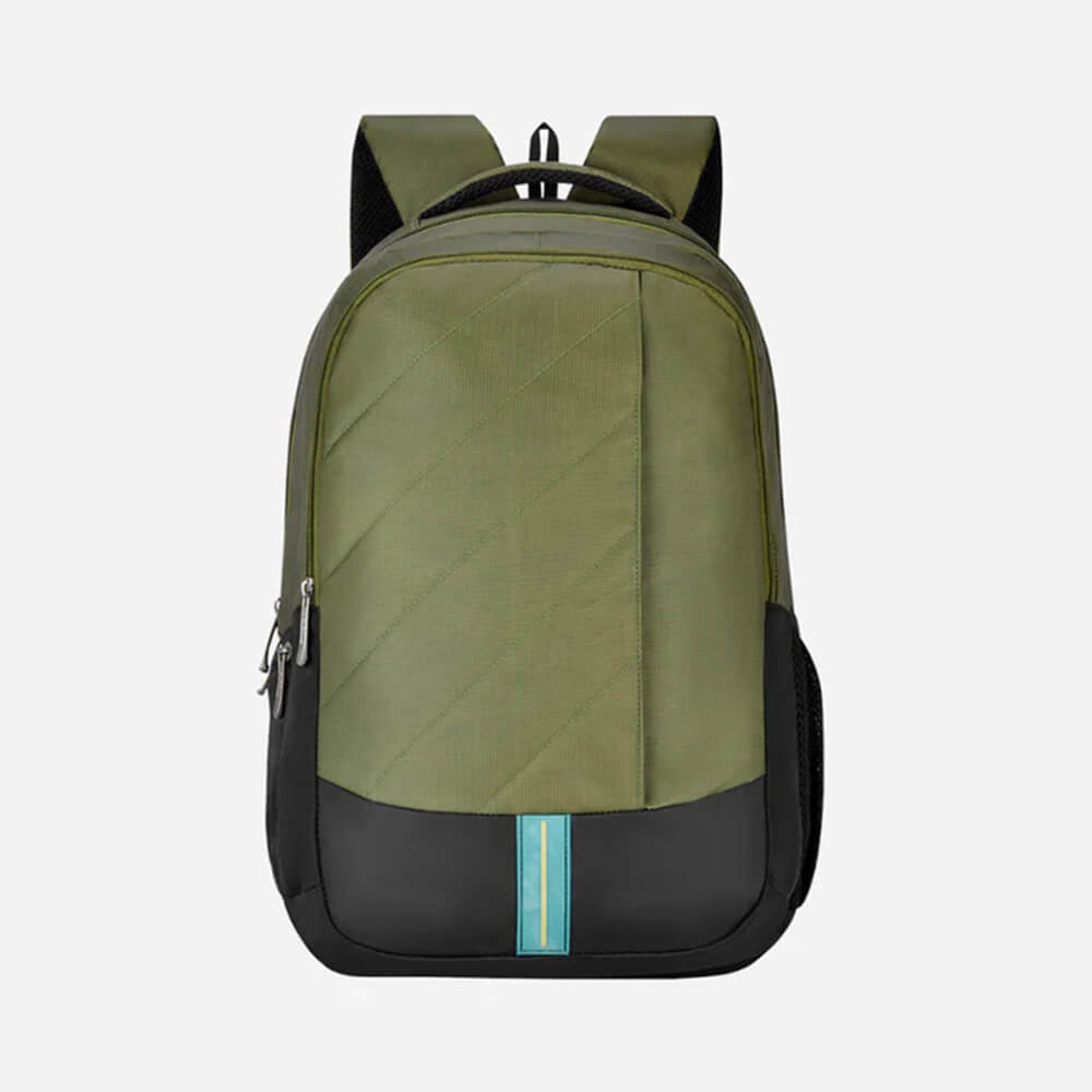 Pacsafe Backpack